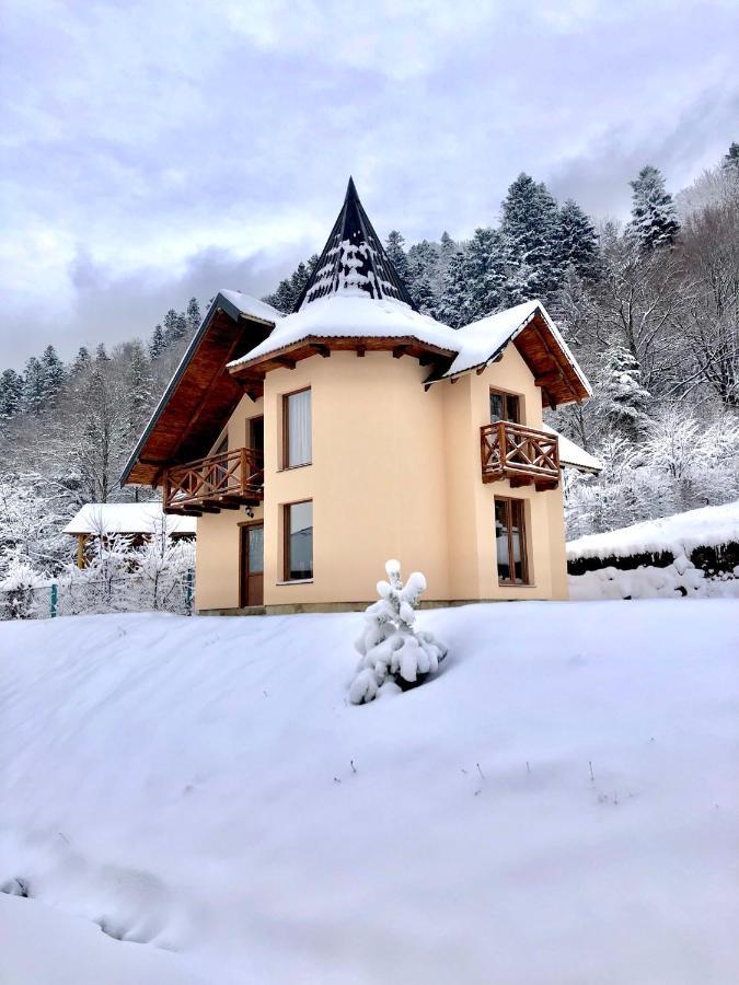Лучка Villa Mykulychyn Ngoại thất bức ảnh